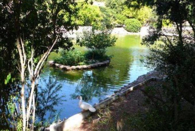 Bellini Bed & Breakfast Cagliari Dış mekan fotoğraf